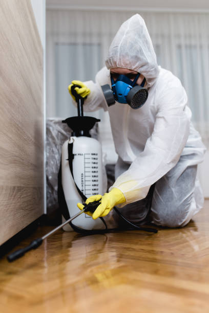 Best Fumigation Services  in Escobares, TX